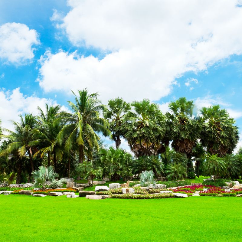 Tropical Garden Features