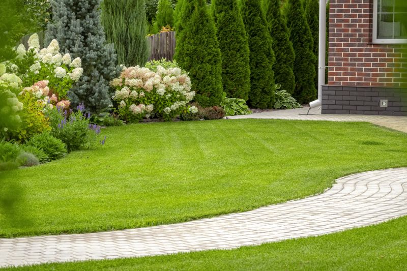 Professional Landscape Design