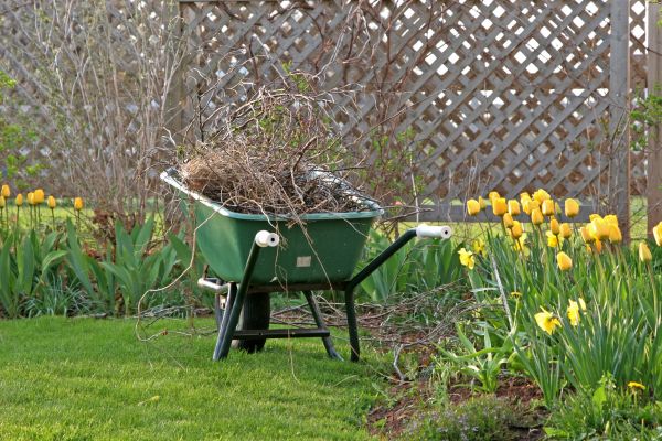 Flower Bed Cleanup Service in Clearwater