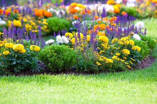 Flower Bed Maintenance in Clearwater