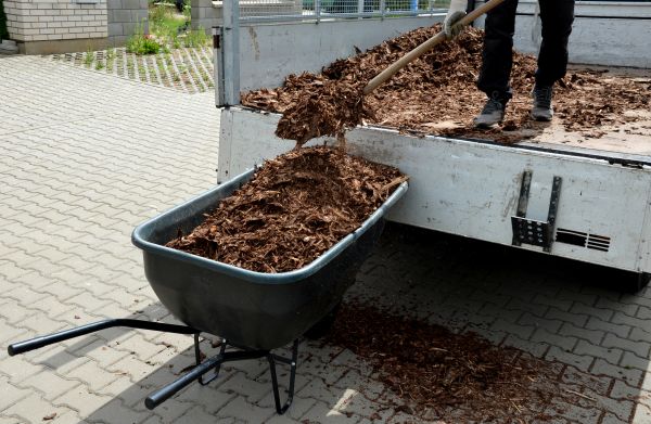Bulk Mulch Delivery in Clearwater