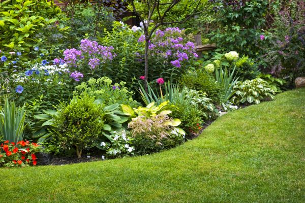 Flower Bed Service in Clearwater