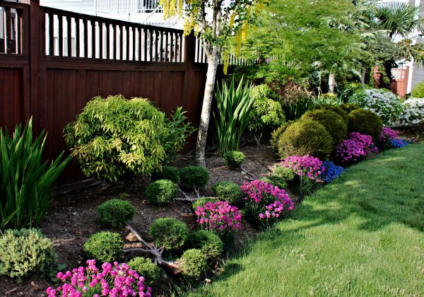 Garden Care Service in Clearwater