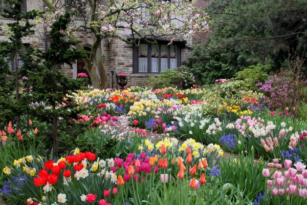 Garden Maintenance Service in Clearwater
