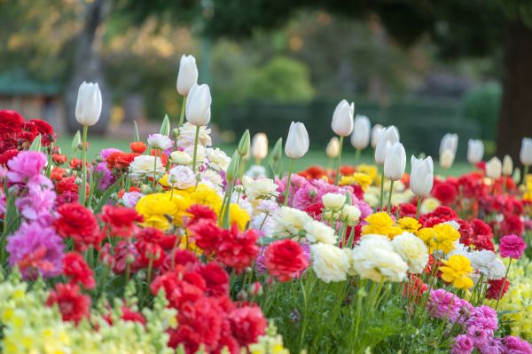Gardening Service in Clearwater