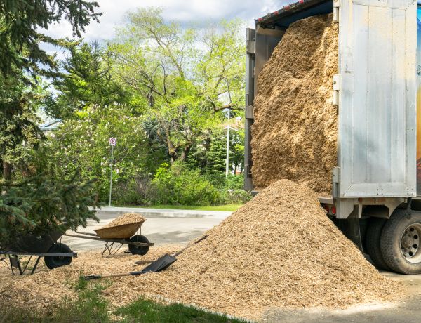Wood Chips Delivery in Clearwater
