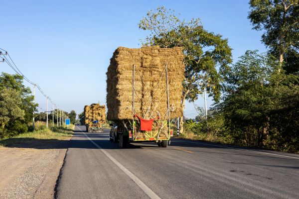 Pine Straw Delivery in Clearwater