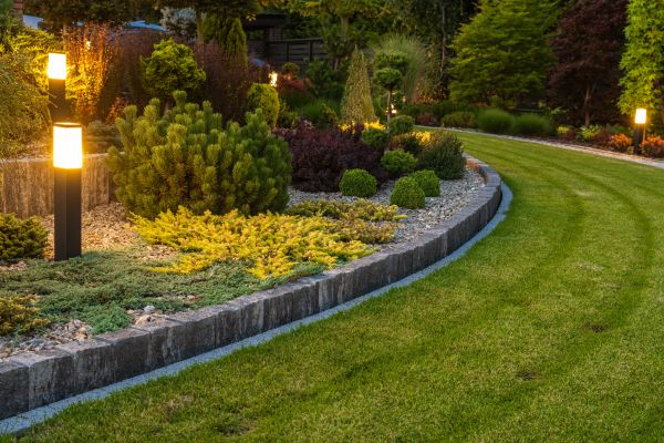 Garden Repair Service in Clearwater
