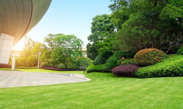 Business Landscape Design in Clearwater