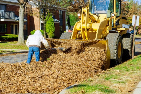 Mulch Hauling in Clearwater