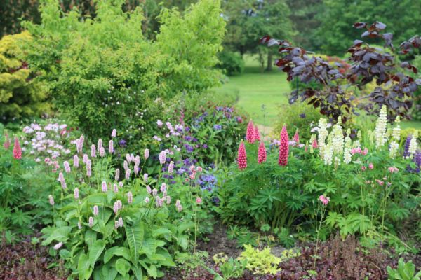 Flower Bed Planting in Clearwater
