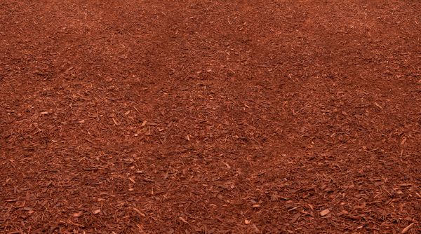 Red Mulch Delivery in Clearwater