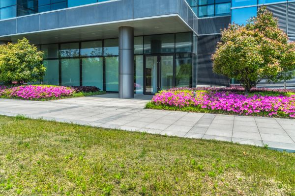 Commercial Gardening in Clearwater