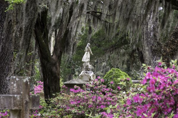 Cemetery Landscaping in Clearwater