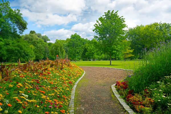 Park Landscaping in Clearwater