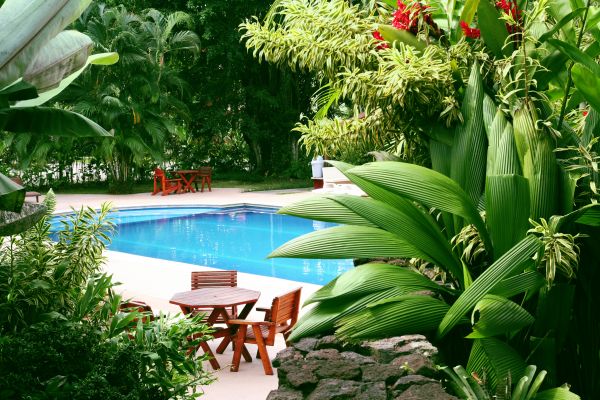 Tropical Garden Landscaping in Clearwater