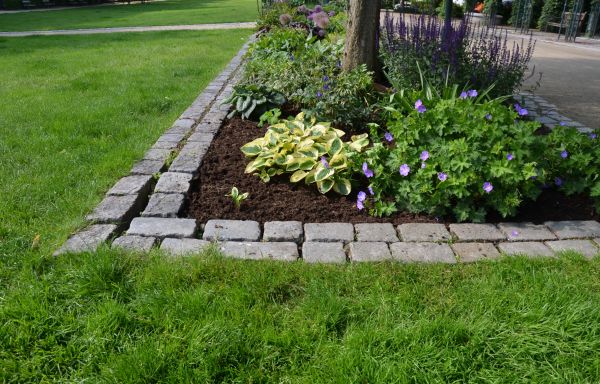 Flower Bed Mulching in Clearwater