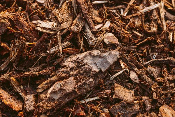 Bark Mulch Delivery in Clearwater