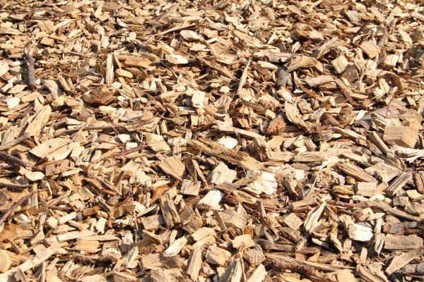 Wood Mulch Delivery in Clearwater