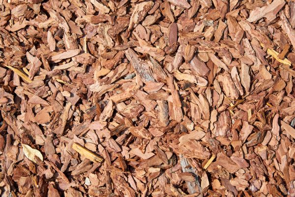 Pine Mulch Delivery in Clearwater