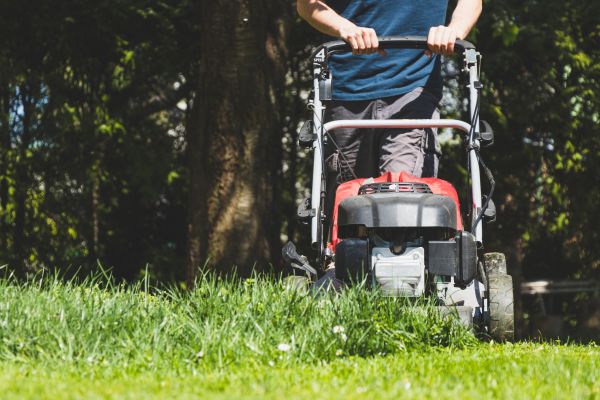 Garden Trimming Service in Clearwater