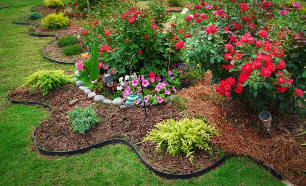 Floral Landscaping in Clearwater