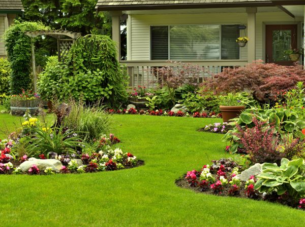 Flower Garden Planting in Clearwater