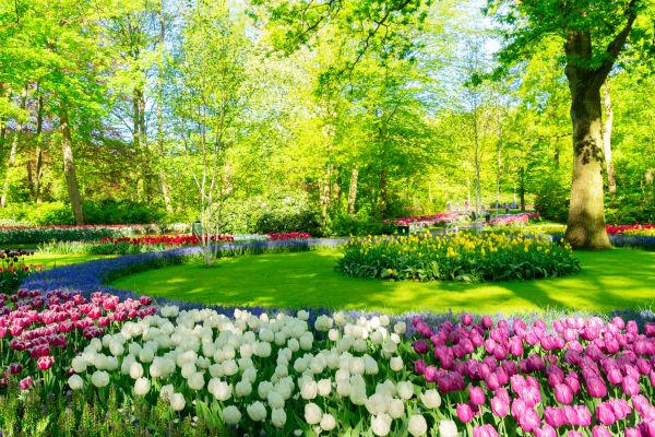 Flower Landscaping in Clearwater