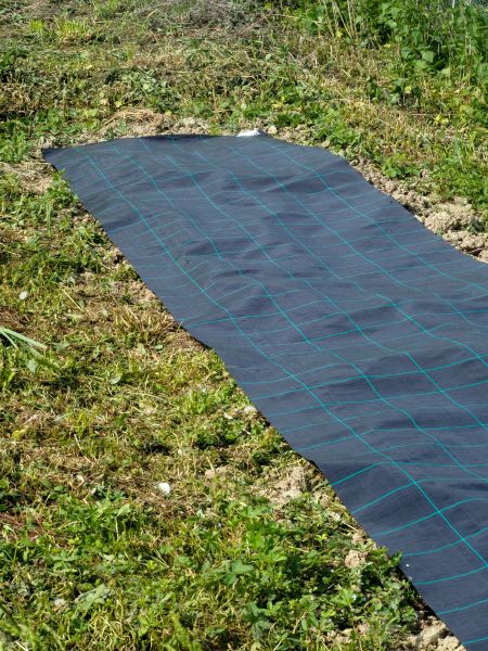 Weed Suppressant Installation in Clearwater