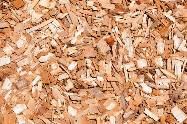 Cypress Mulch Spreading in Clearwater