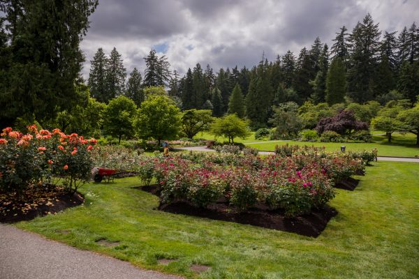 Flower Garden Landscaping in Clearwater