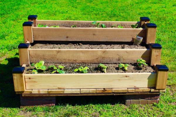 Raised Garden Bed Installation in Clearwater