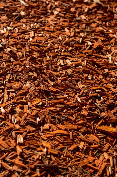 Cedar Mulch Spreading in Clearwater