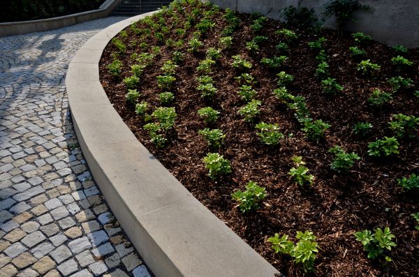 Commercial Mulching in Clearwater